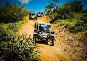 Top Bachelor Party Luxury Tours in Phoenix